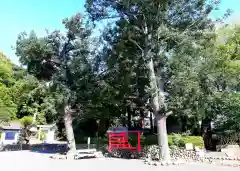 三熊野神社の自然