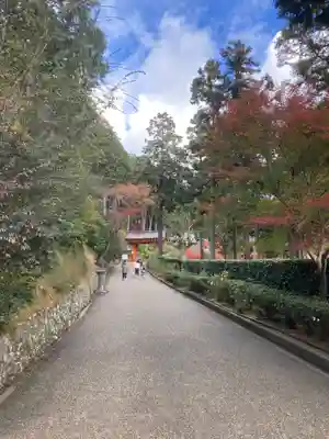 三室戸寺(京都府)