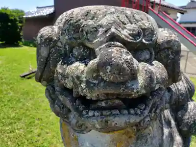 今市神社の狛犬