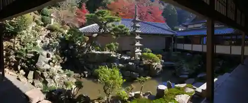 興聖寺（興聖寶林禅寺）の庭園