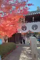 光明寺(粟生光明寺)(京都府)