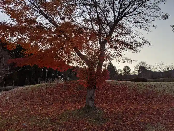 恵那神社奥宮本社(長野県)