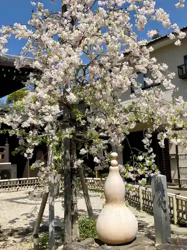 太閤山常泉寺の自然