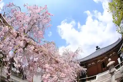 一宮寺(香川県)