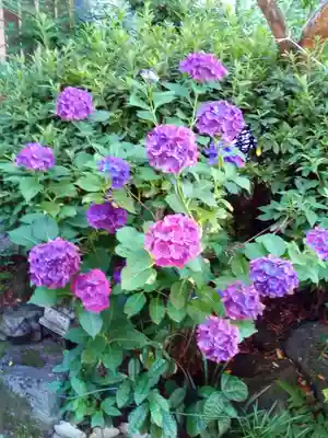 妙心院(宮城県)