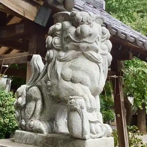 柏神社の狛犬