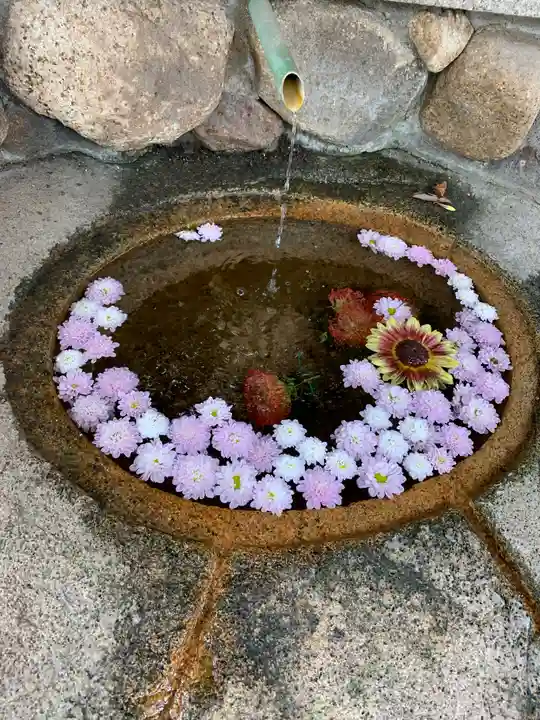 生田神社の手水舎