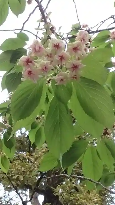 下神明天祖神社(東京都)