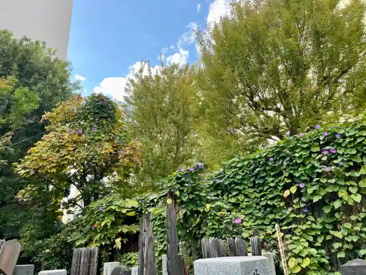 成覚寺(東京都)