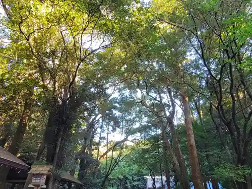 倭姫宮（皇大神宮別宮）の自然