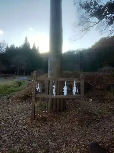 諏訪大社上社前宮の自然