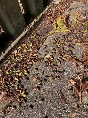 関戸神社(茨城県)