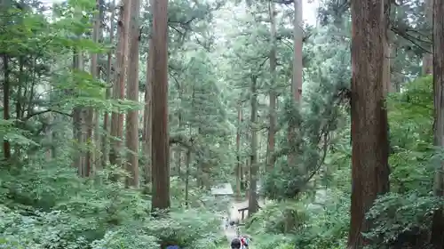 羽黒山五重塔(出羽三山神社)(山形県)