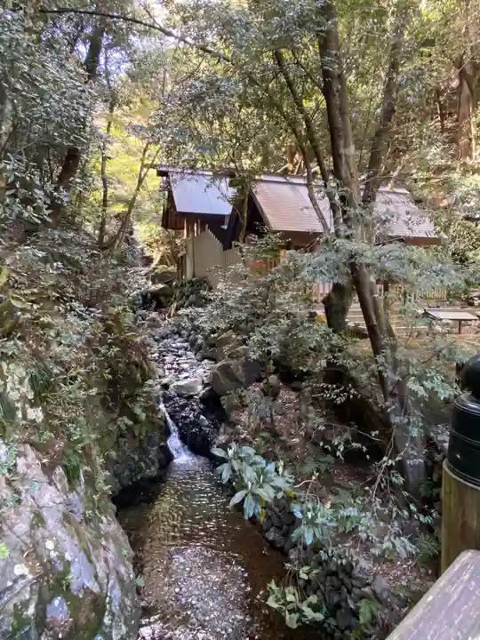 多度大社の自然