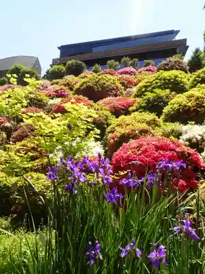 根津神社(東京都)