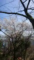 城山稲荷神社の自然