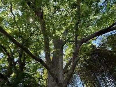 水戸八幡宮(茨城県)