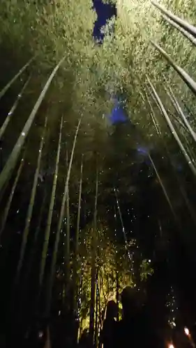 高台寺（高台寿聖禅寺・高臺寺）(京都府)