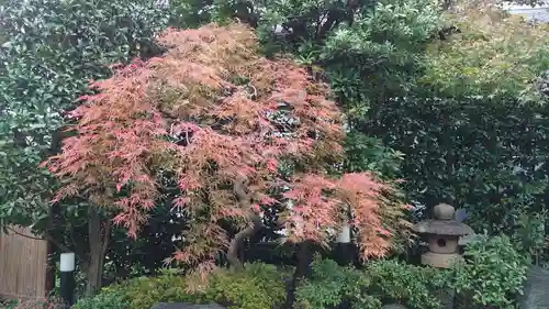 覚證寺の庭園