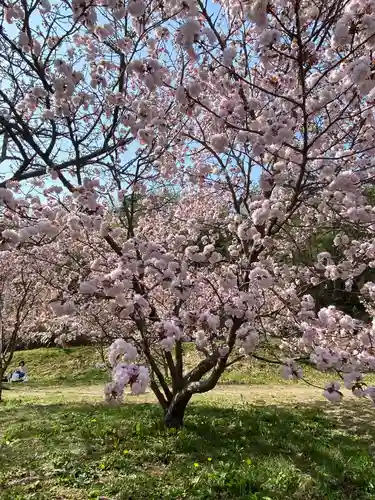素戔嗚神社の自然
