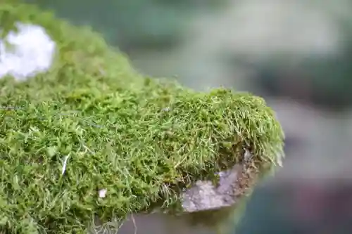 石上神宮(奈良県)