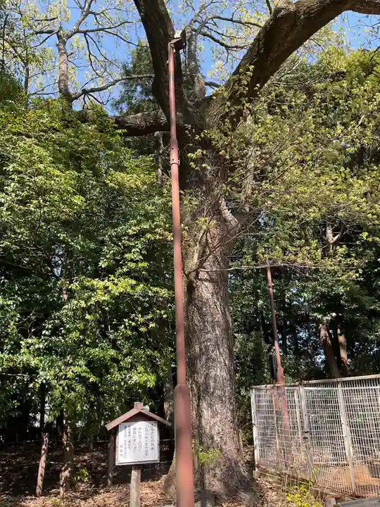 上地八幡宮の庭園