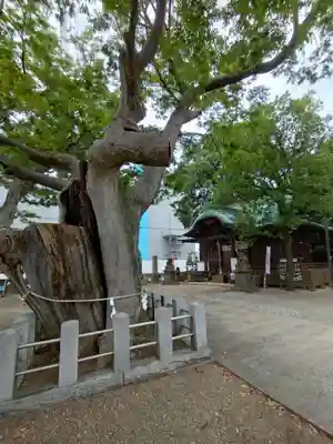 阿邪訶根神社(福島県)