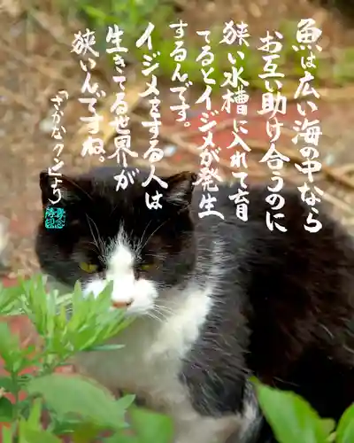 専念寺(大阪府)