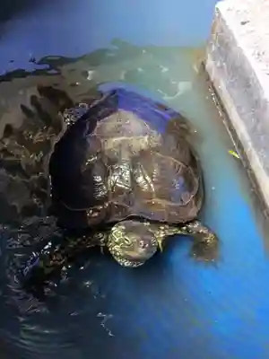 下谷神社(東京都)