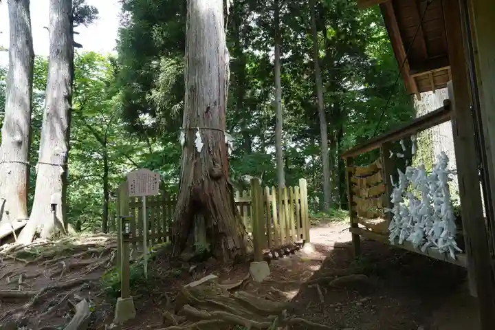 武蔵御嶽神社(東京都)