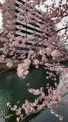 伊勢山皇大神宮の御朱印