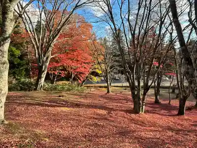 土津神社｜こどもと出世の神さま(福島県)
