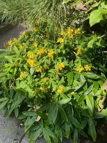 松嶺院(神奈川県)