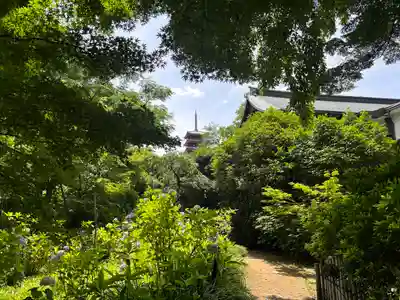 本土寺(千葉県)