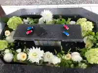 新琴似神社の{uncategorized: "未分類", other: "その他", undefined: "問題あり", building: "その他建物", grave: "お墓", sacred_gate: "鳥居", guardian: "狛犬", statue: "像", buddha: "仏像", history: "歴史", nature: "自然", garden: "庭園", animal: "動物", pagoda: "塔", temizu: "手水舎", mountain_gate: "山門・神門", sanctuary: "本殿・本堂", subordinate: "末社・摂社", art: "芸術", scenery: "景色", jizo: "地蔵", ema: "絵馬", goshuin: "御朱印", omikuji: "おみくじ", items: "授与品その他", amulet: "お守り", goshuincho: "御朱印帳", eats: "食事", festival: "お祭り", votive_dance: "神楽", shichigosan: "七五三参", wedding: "結婚式", experience: "体験その他", initially: "初詣", around: "周辺", anti_infection: "感染症対策"}