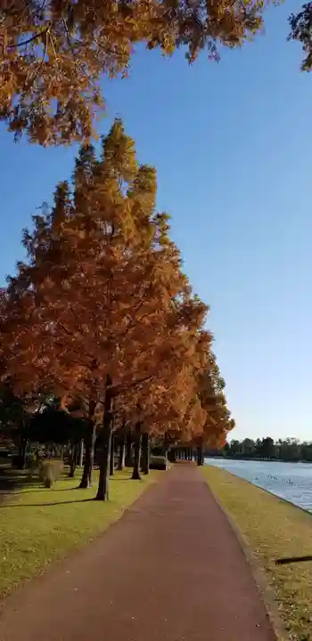 大下稲荷神社のその他建物