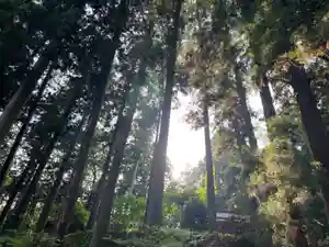 大宮温泉神社(栃木県)(2023年05月19日(金) 08時12分51秒投稿)