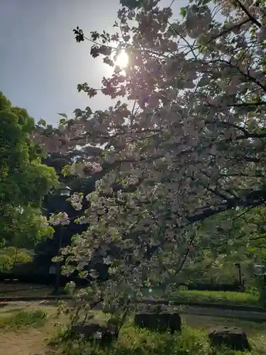 芝東照宮の自然