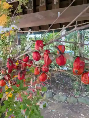 赤坂氷川神社(東京都)