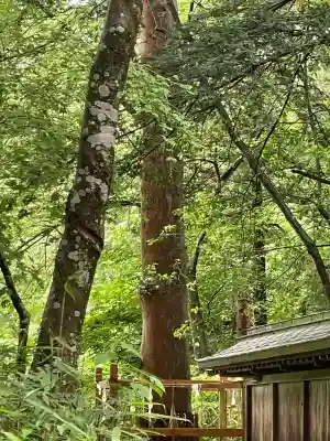 諏訪大社下社春宮(長野県)