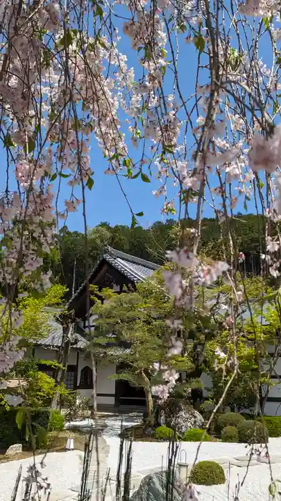 圓光寺(京都府)