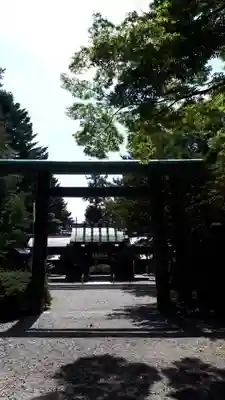 琴似神社(北海道)
