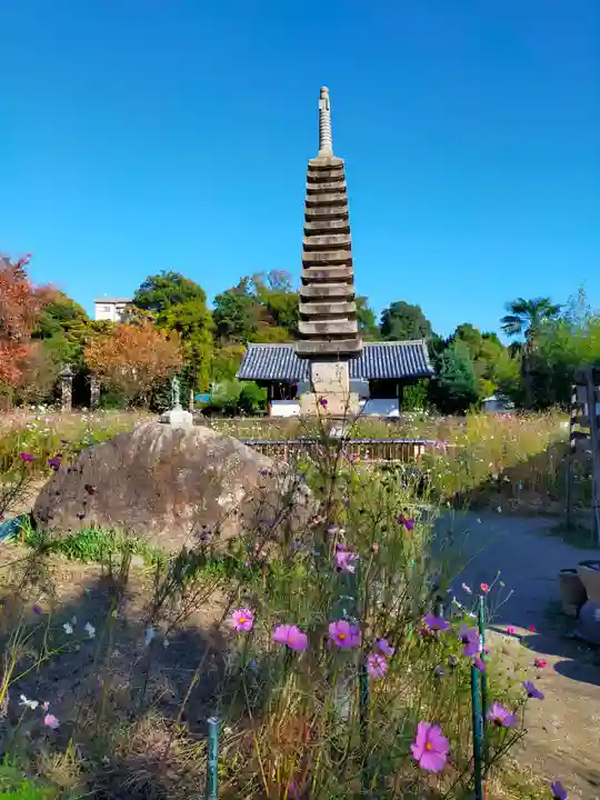般若寺 ❁コスモス寺❁(奈良県)