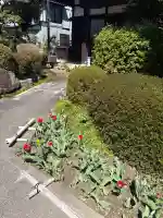 法東山 極楽寺の{uncategorized: "未分類", other: "その他", undefined: "問題あり", building: "その他建物", grave: "お墓", sacred_gate: "鳥居", guardian: "狛犬", statue: "像", buddha: "仏像", history: "歴史", nature: "自然", garden: "庭園", animal: "動物", pagoda: "塔", temizu: "手水舎", mountain_gate: "山門・神門", sanctuary: "本殿・本堂", subordinate: "末社・摂社", art: "芸術", scenery: "景色", jizo: "地蔵", ema: "絵馬", goshuin: "御朱印", omikuji: "おみくじ", items: "授与品その他", amulet: "お守り", goshuincho: "御朱印帳", eats: "食事", festival: "お祭り", votive_dance: "神楽", shichigosan: "七五三参", wedding: "結婚式", experience: "体験その他", initially: "初詣", around: "周辺", anti_infection: "感染症対策"}