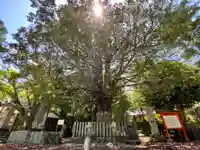 熊野速玉大社(和歌山県)