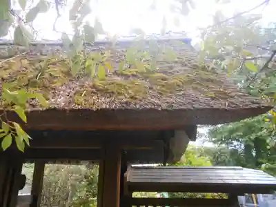 泥牛庵の山門・神門
