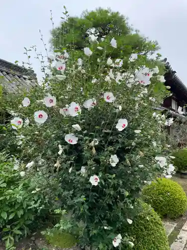 當麻寺中之坊(奈良県)