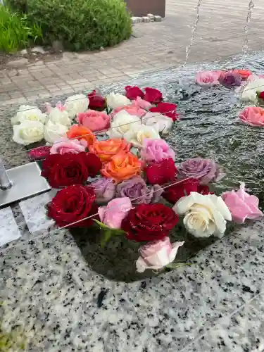 山形縣護國神社(山形県)