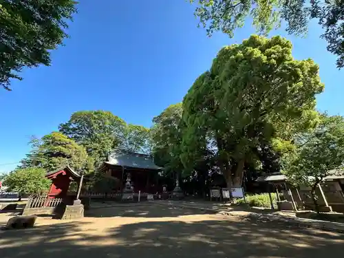 三芳野神社(埼玉県)