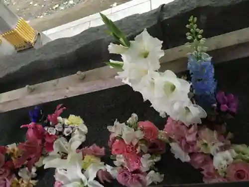 彌彦神社　(伊夜日子神社)の手水